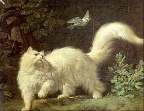 Jean-Jacques Bachelier Un chat Angora